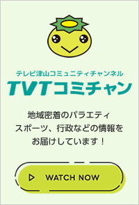 TVTコミチャン