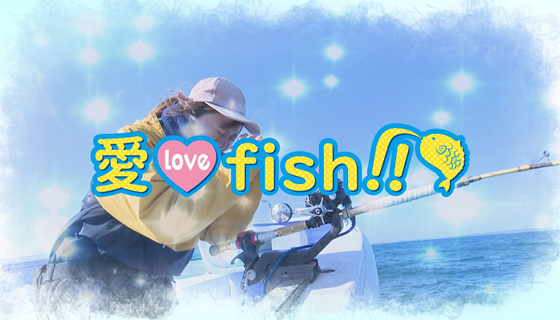 愛 love fish!!