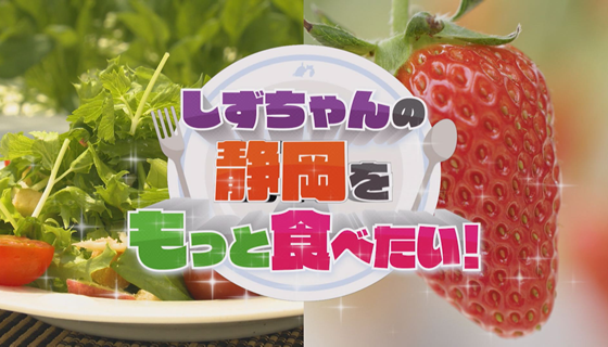 しずちゃんの静岡をもっと食べたい！